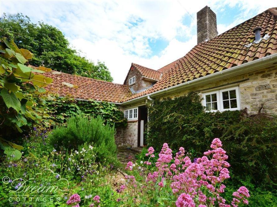 Sixpenny Cottage Upwey المظهر الخارجي الصورة